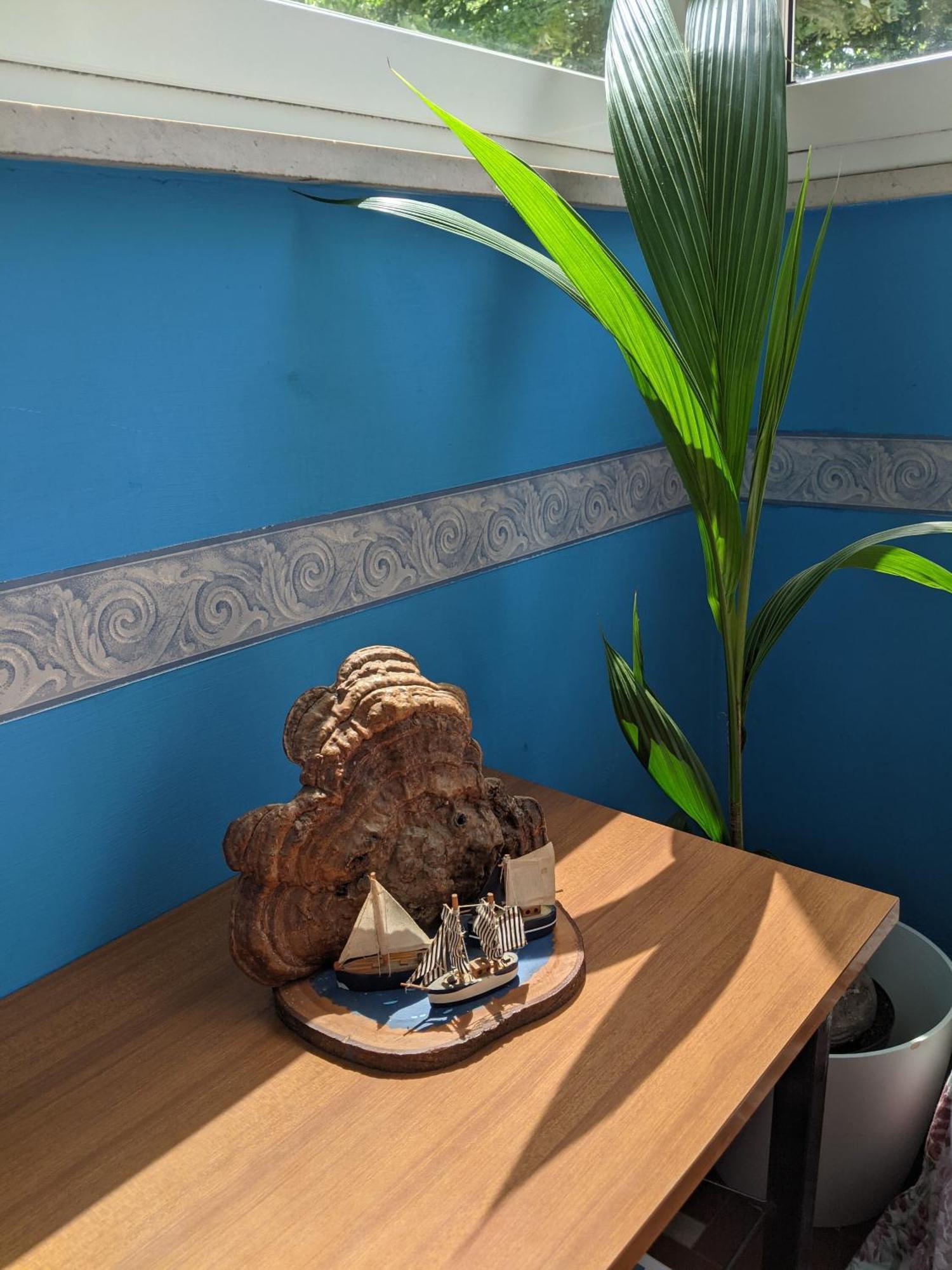 Hotel Bellevue Cesenatico Εξωτερικό φωτογραφία
